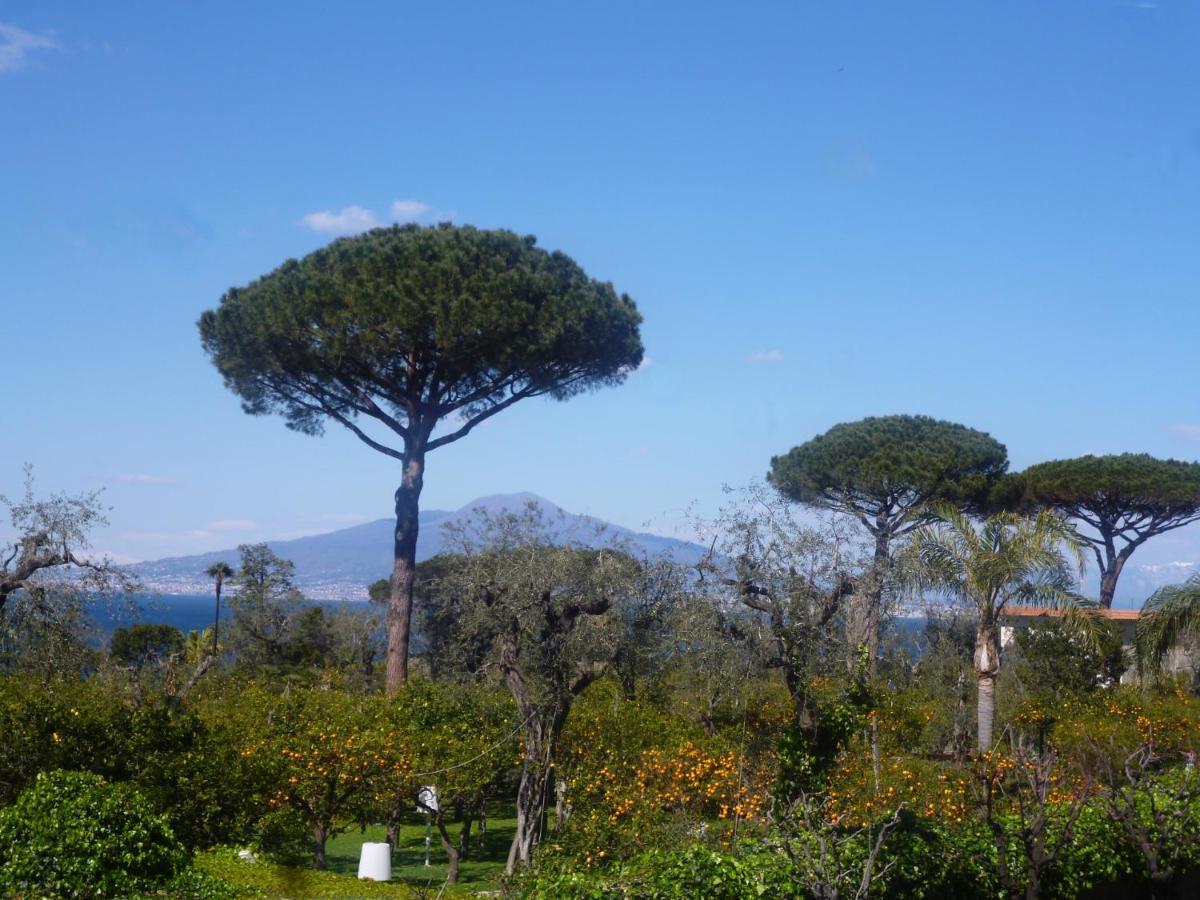 Angelina Suite B&B - Sorrento Centro Экстерьер фото